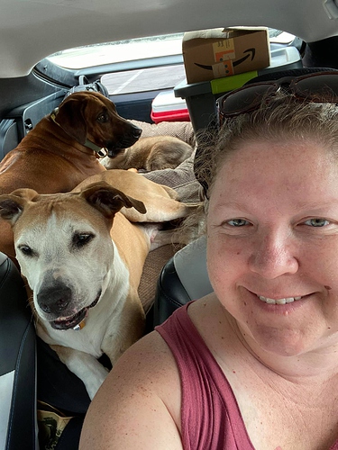 road trip up to Pa 2021, co pilot