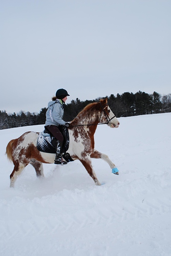 Kristina Specks snow gallop
