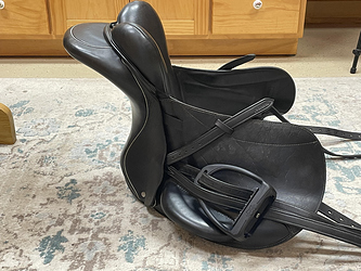 saddle