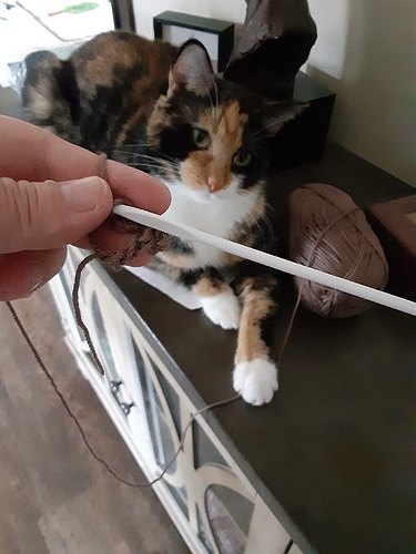 Psalm Playing with Yarn while I Crochet