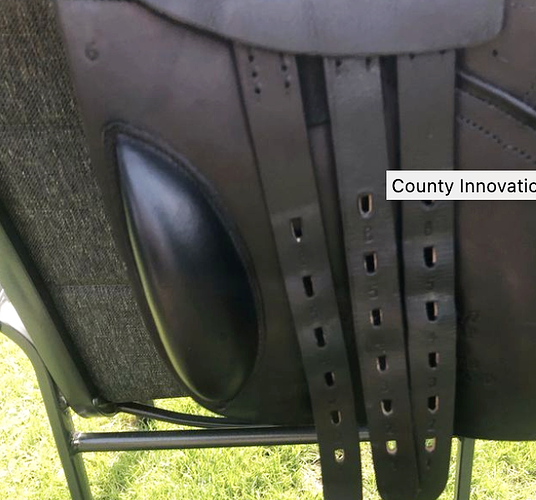 countypic