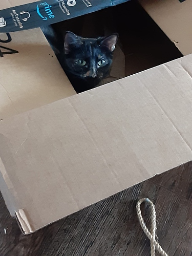 Mary in Amazon Food Box