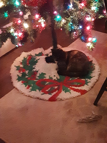 Mary on Tree Skirt