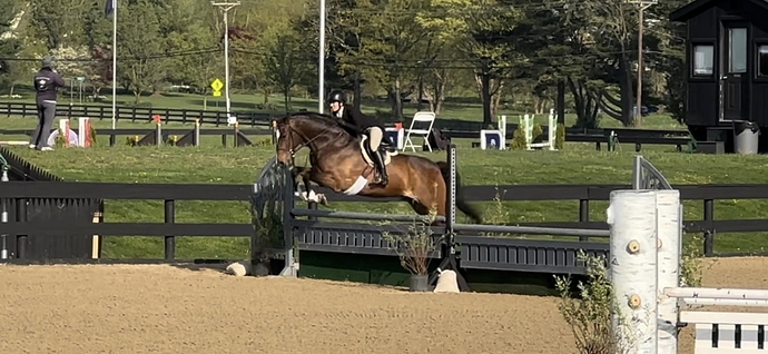 TacoPrincetonShowJumpingNJ2023