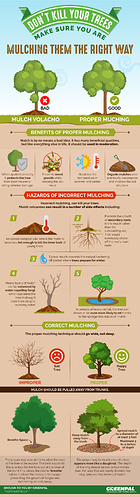 The ultimate guide on how to mulch your tree rings Infographic By Greenpal
