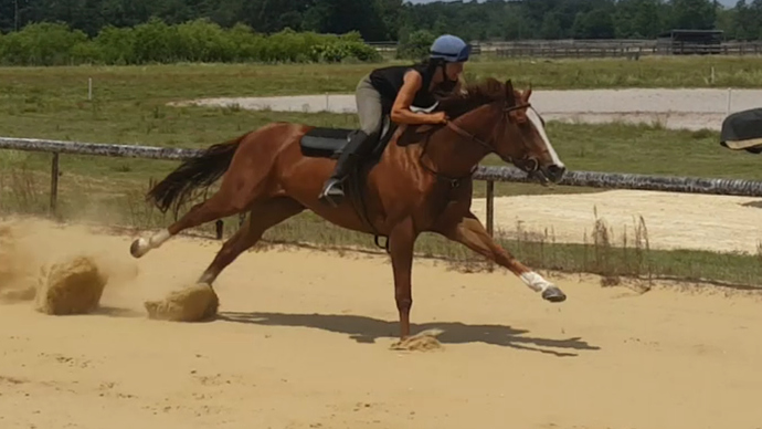Sister gallop 2