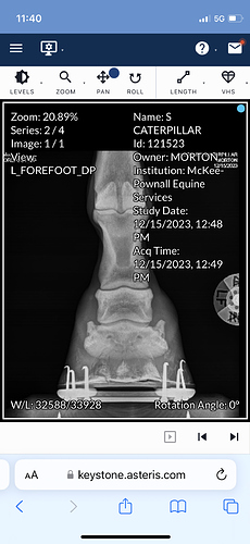 diesel xray3