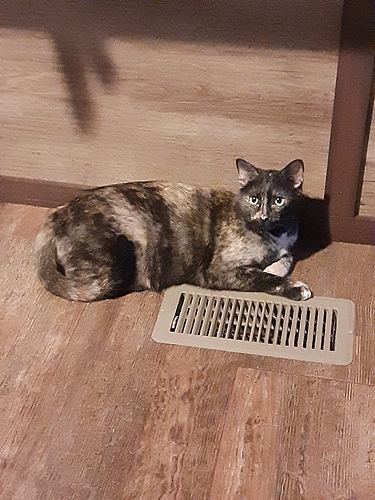 Mary on Heat Vent 1122