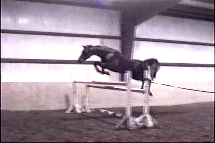 Belle-freejump