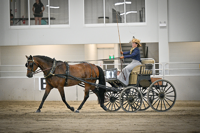 GLCC-FRIDAY-DRESSAGE-340