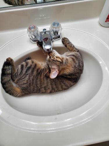 Marie sink 3