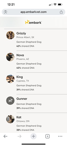 Embark Dog DNA Test