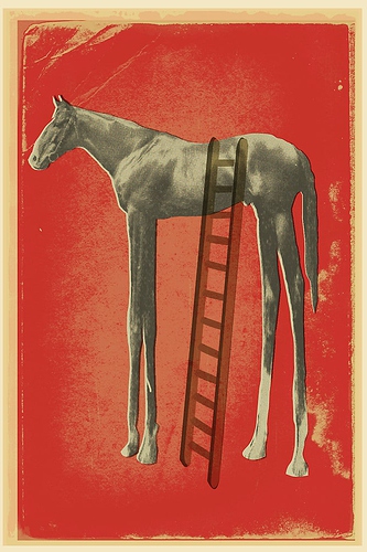 High-horse-1