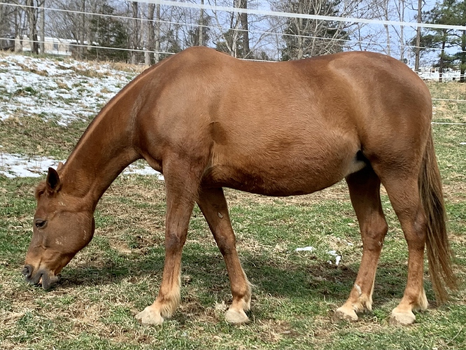 March Grazing