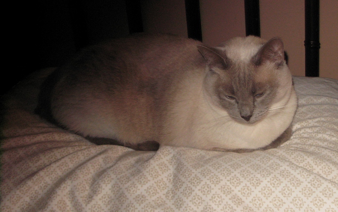 francie