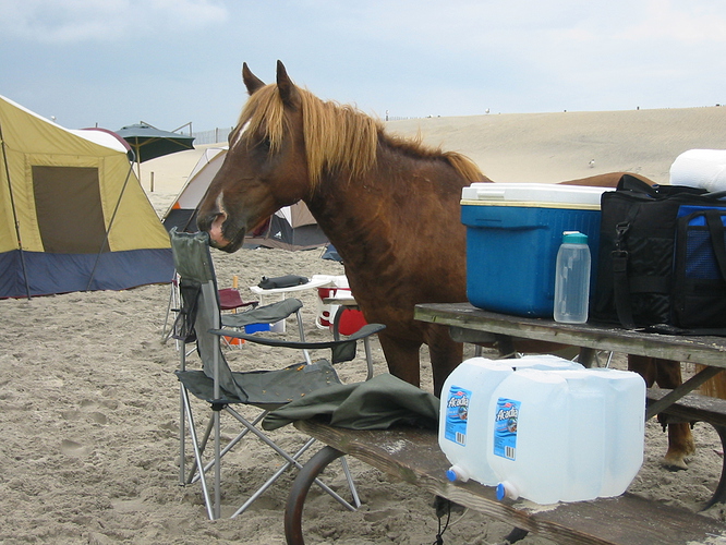 ponyinvader_chair