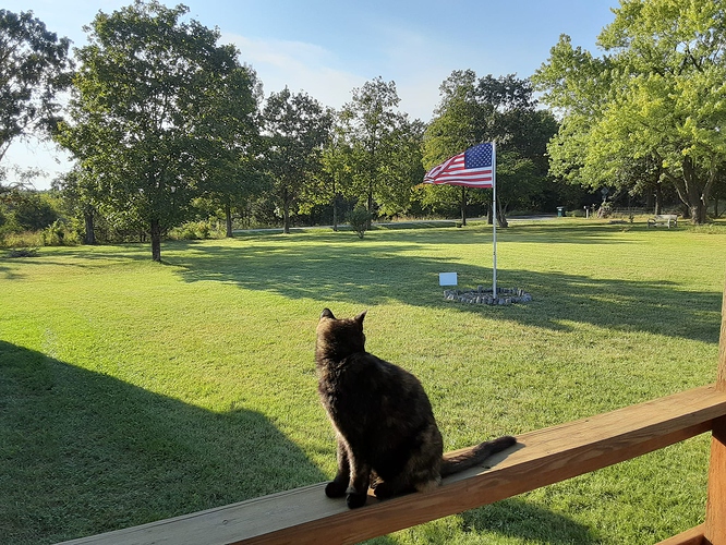Rascal Looking at Flag 092323