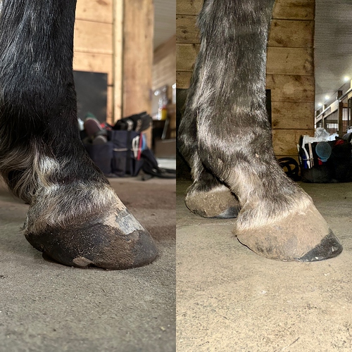Comparison - RF - 05.13.25