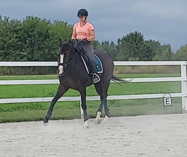 VideoCapture_20220904-180019