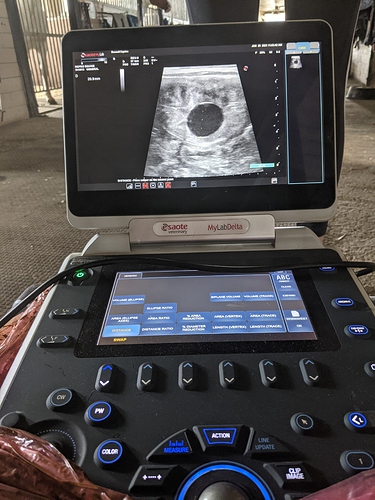 Ultrasound-2021-06-29