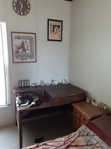 Psalm on Granddaddy's Desk 72523