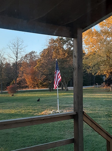 Rascal and Flag in Autumn