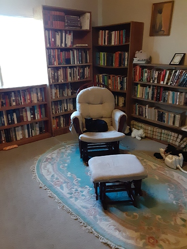 Pharaoh in Library 42123