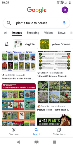 Screenshot_20230628-220507