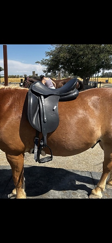 aramis II side view
