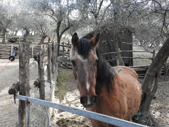 IMG-20230318-WA0019