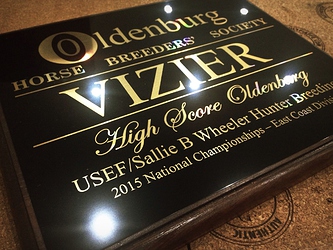 OHBS_HS Plaque