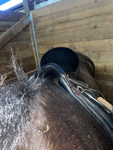 Saddle fit