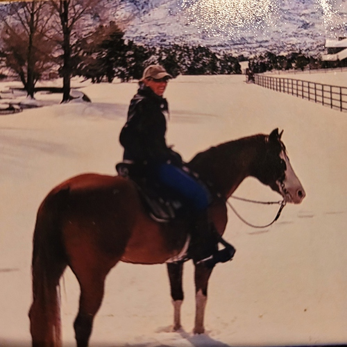 wally snow