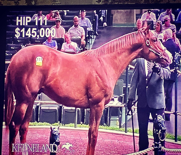 Hip 111