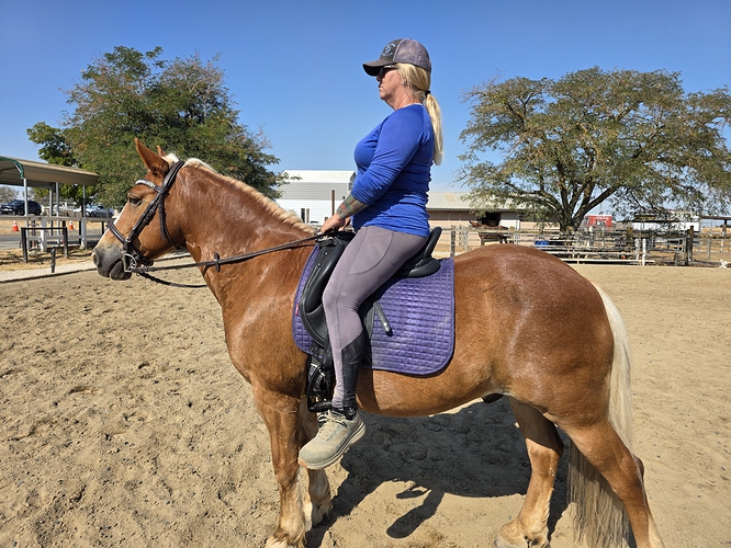 trainer girthed-lunged