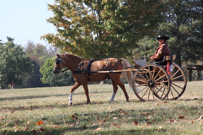 2008-10-12-Wilburns 096