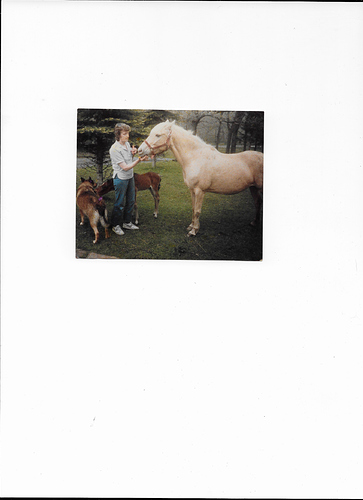 Scan_20220812