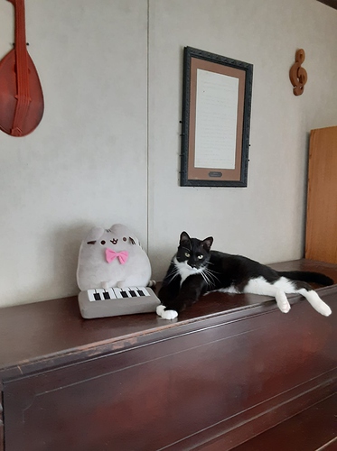 Pilgrim with Pusheen on Piano