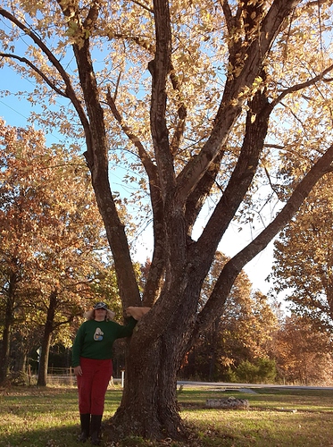 Deb and Cotton with Tree, Autum 2021