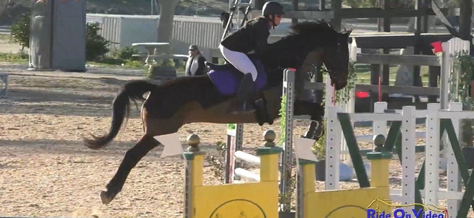 Jumping flapless