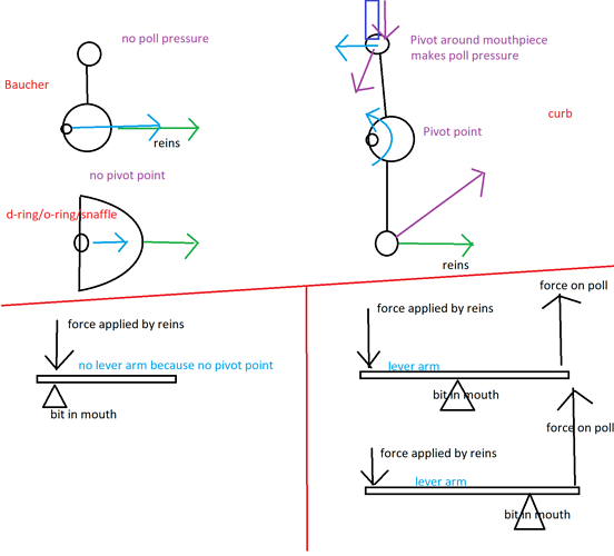 bit mechanics