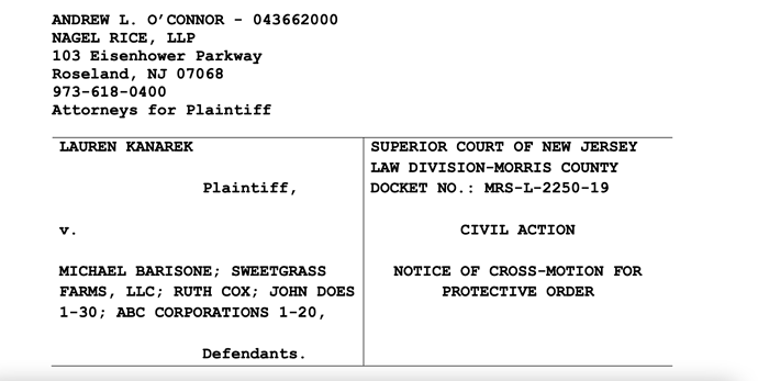 Protective order 1 2022-09-03 at 9.05.04 AM