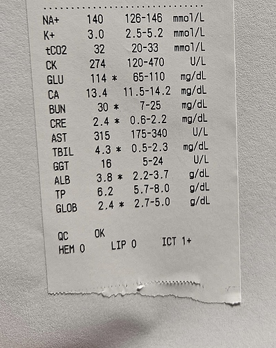 3164715575108031763