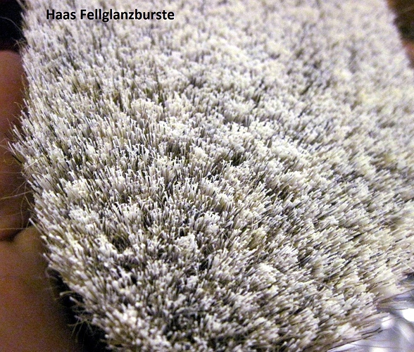haas coatgloss1