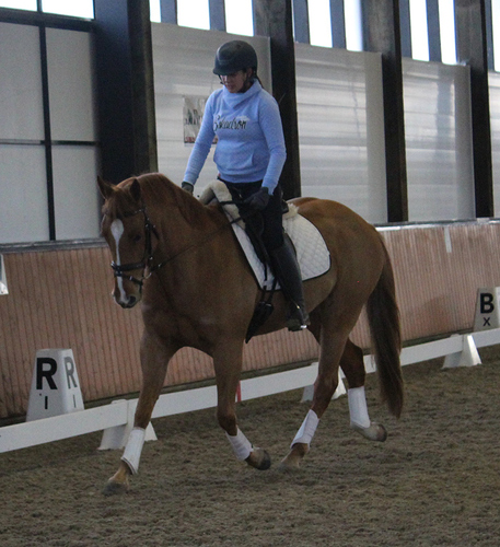 Cam_trot4