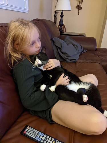 C & Nibbler
