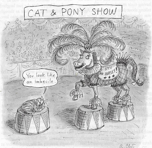 catpony