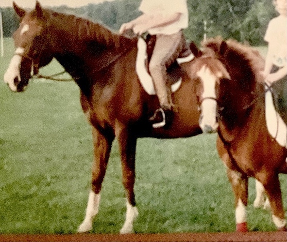 First Impression 1977?