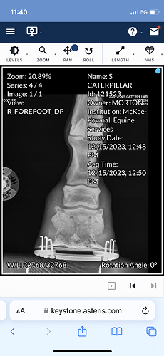 Diesel xray1