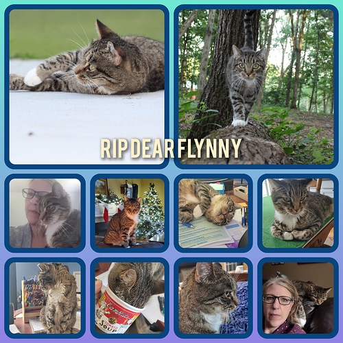 RIP Flynny